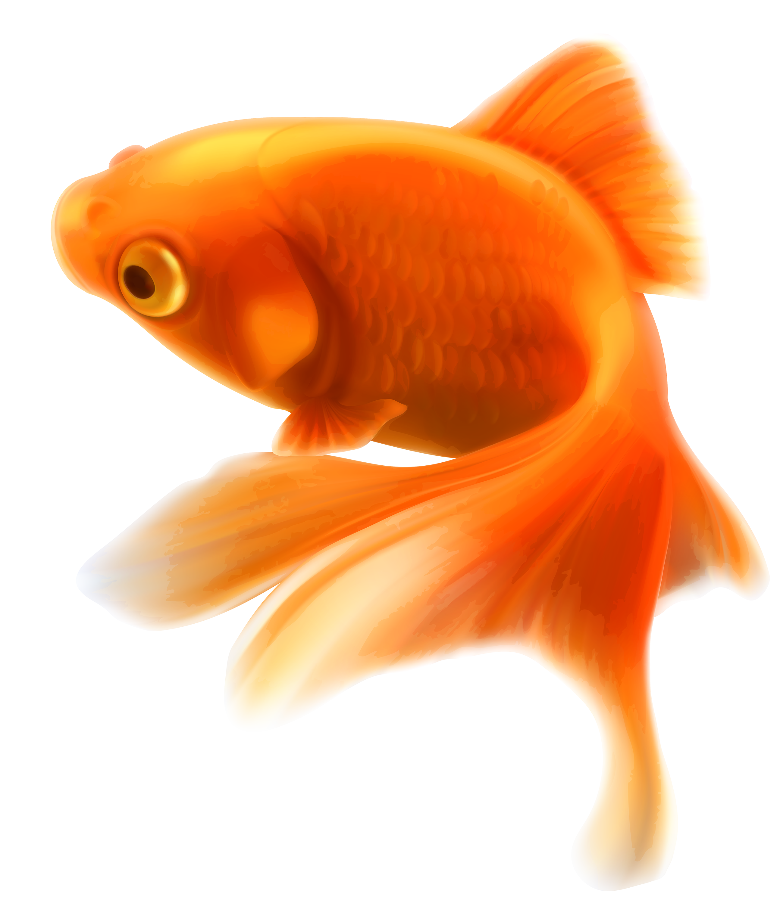 Small Fish PNG HD - 146646