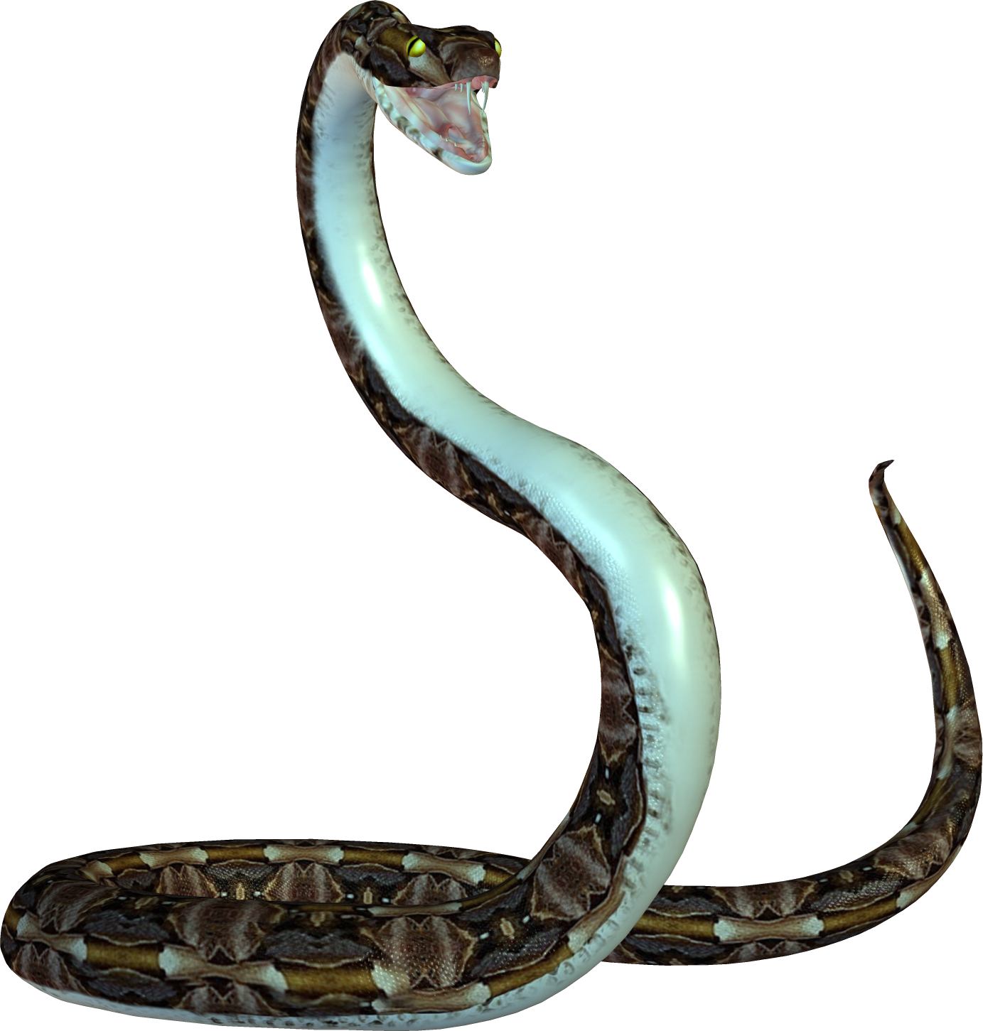 Snake HD PNG - 92997
