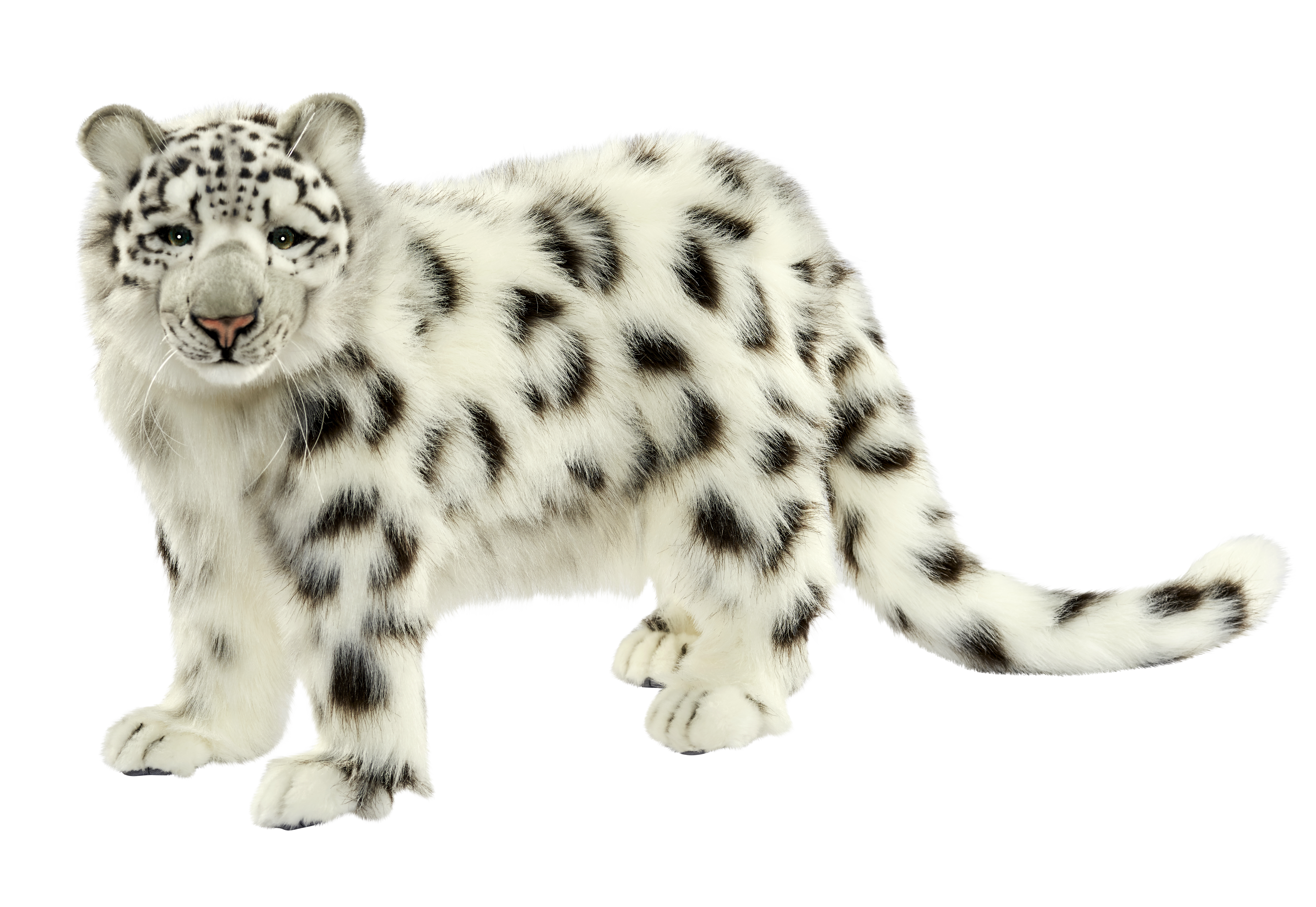 Snow Leopard PNG - 46662