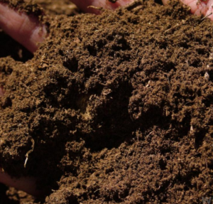 Soil In A Pot PNG - 168841