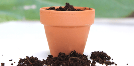 Soil In A Pot PNG - 168828
