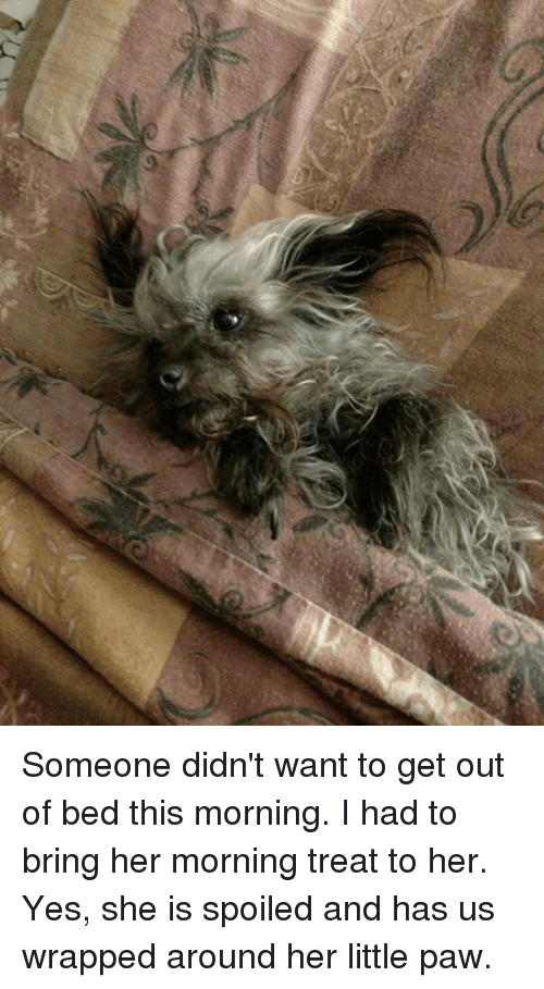 Someone Getting Out Of Bed PNG - 146430