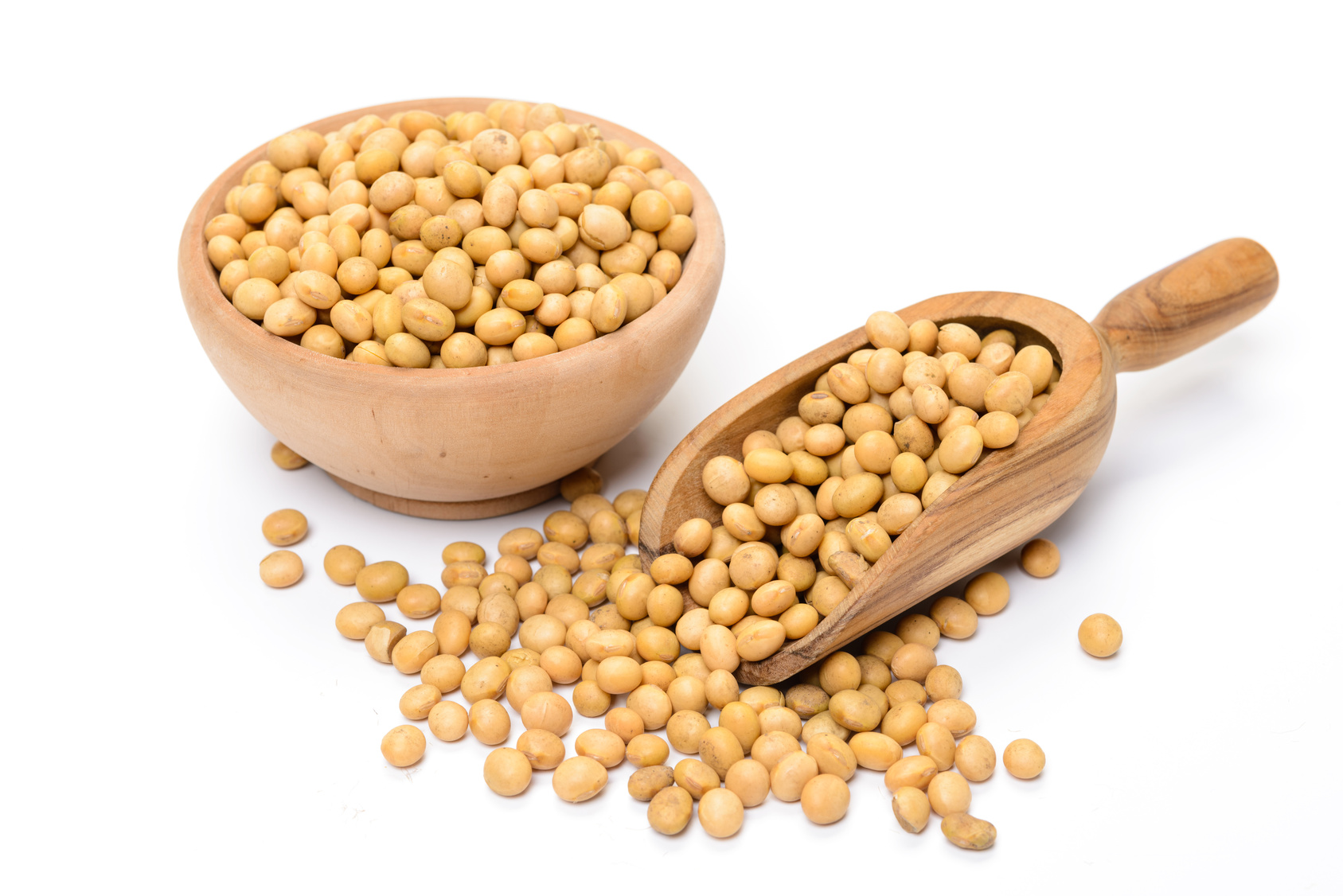 New soybean seed varieties fo