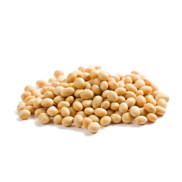 Soybean 4