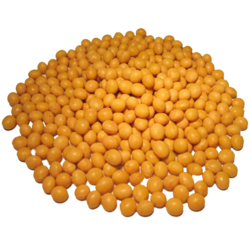 Soybean Seed PNG - 86563