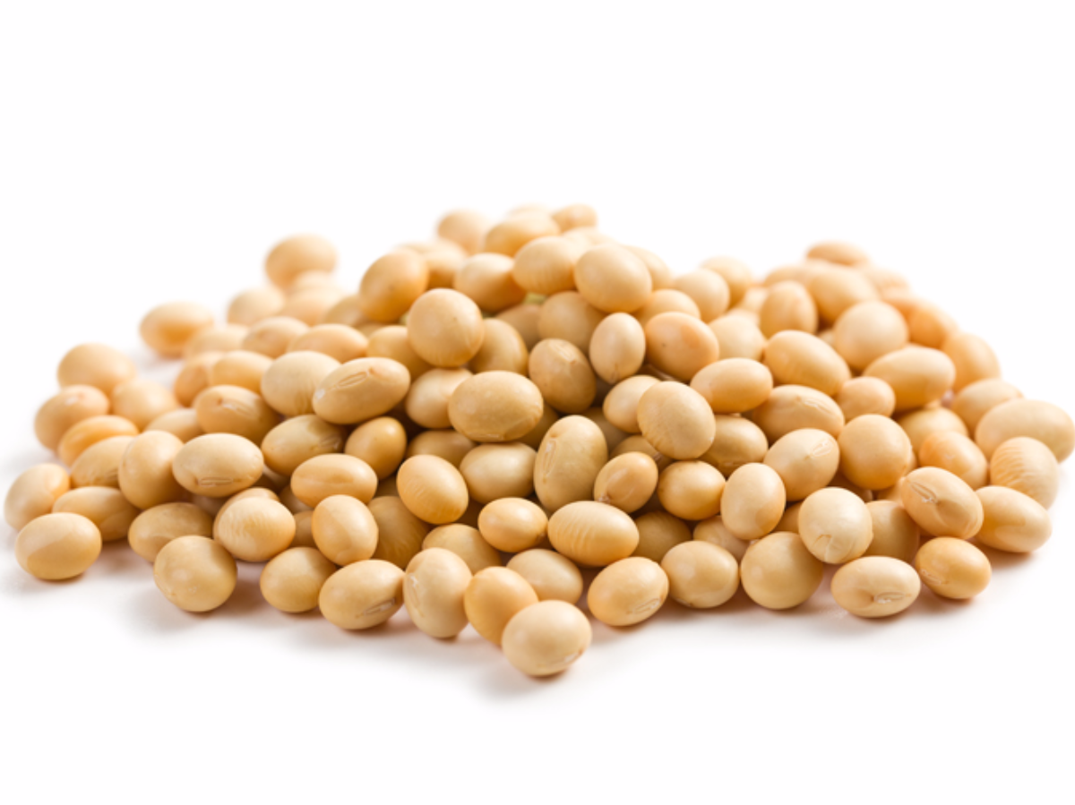 Soybean Seed PNG - 86567