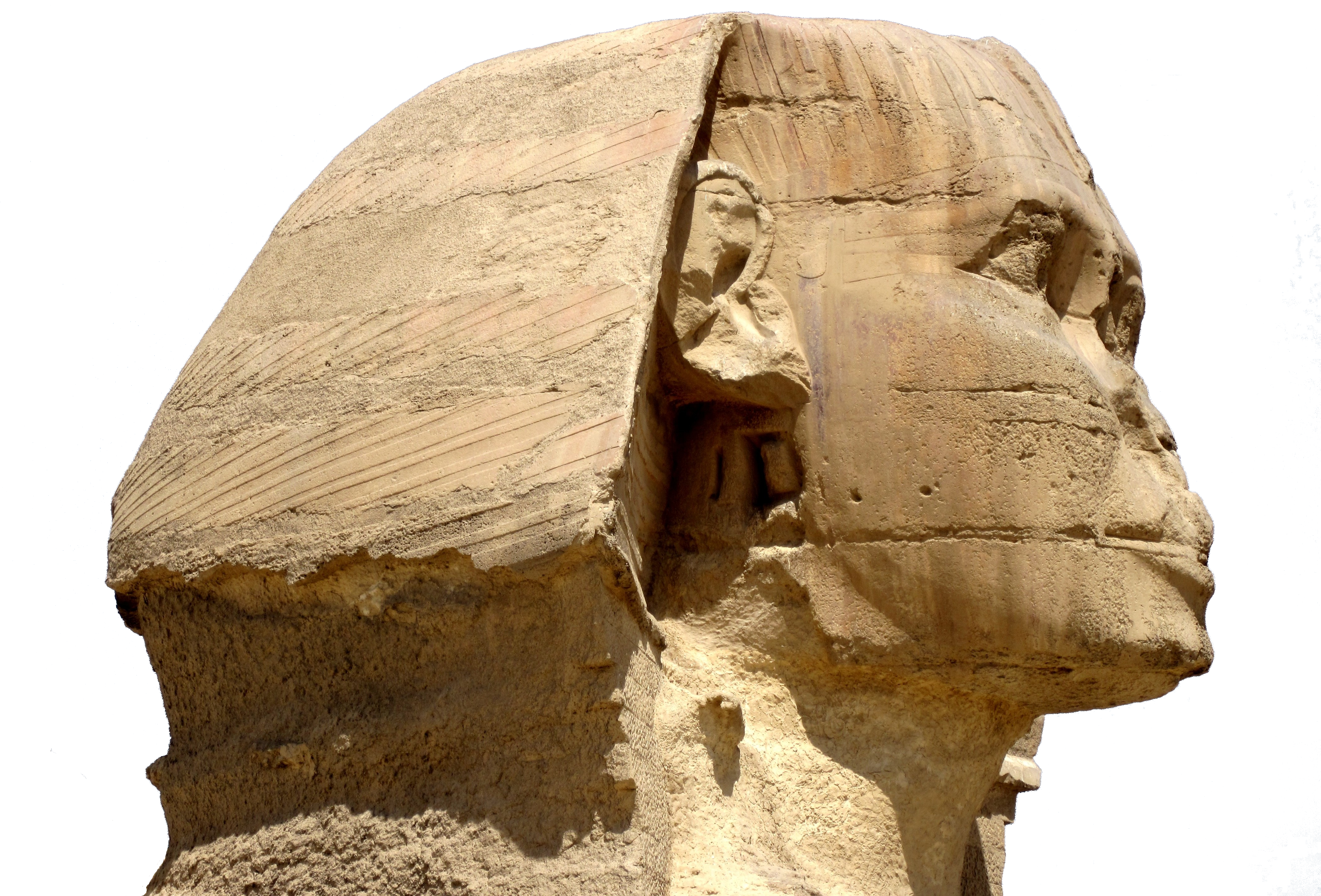 Sphinx Head Illustration