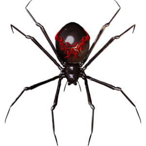 Spider HD PNG - 117631