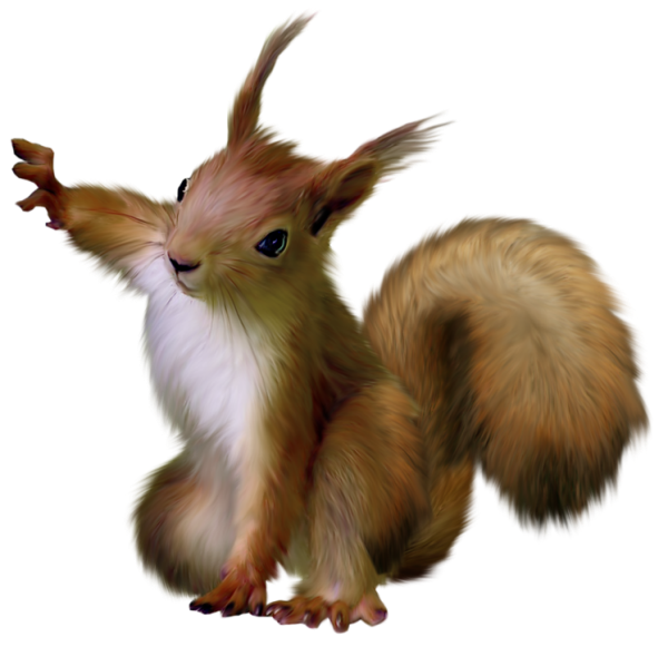 Squirre PNG - 14706