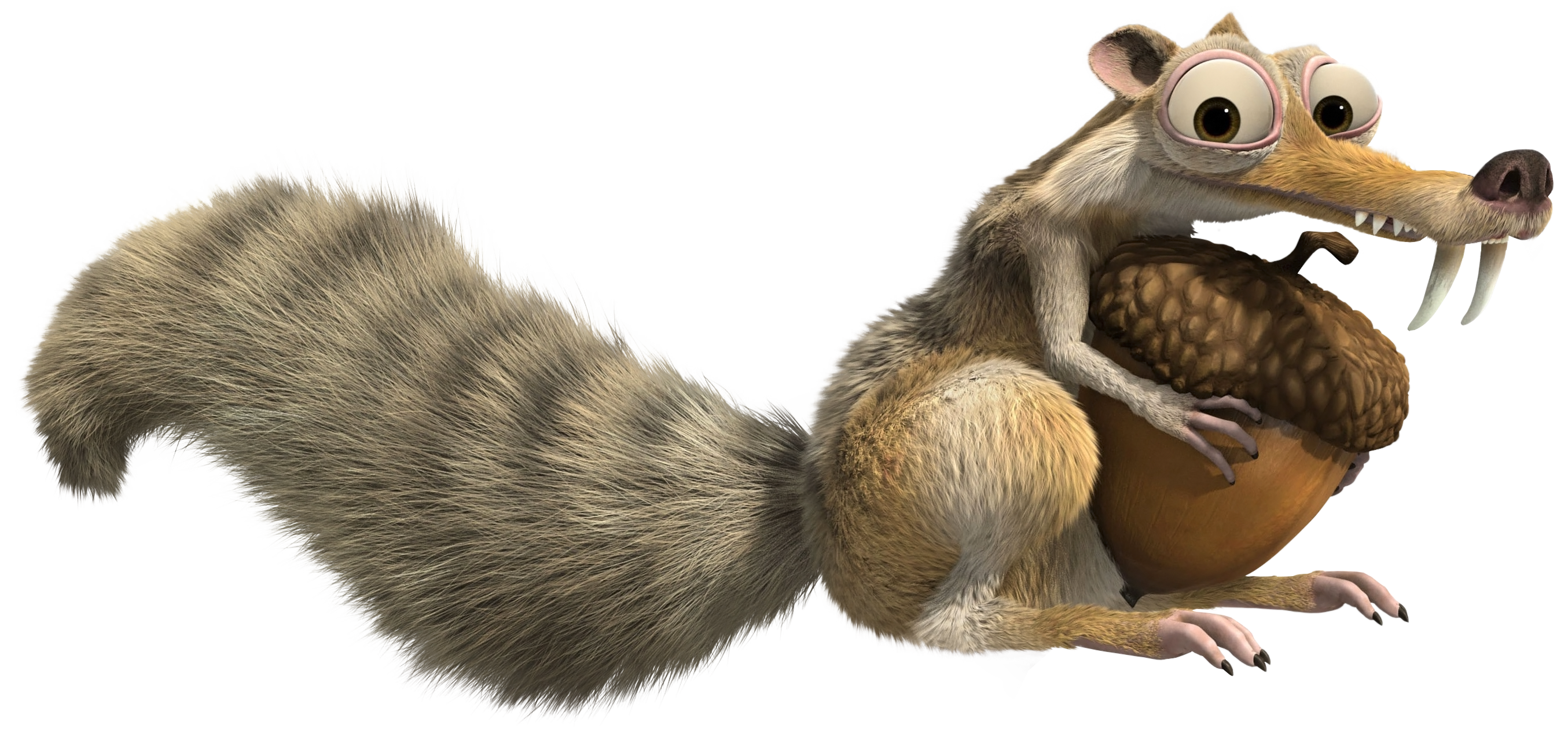 Squirrel HD PNG - 94185