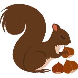 Squirrel With Nut PNG - 79434