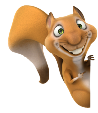 Squirrel With Nut PNG