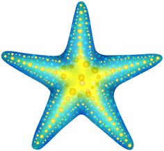 Starfish PNG - 15937