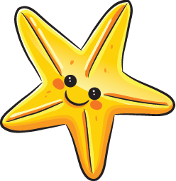 Starfish PNG - 15938