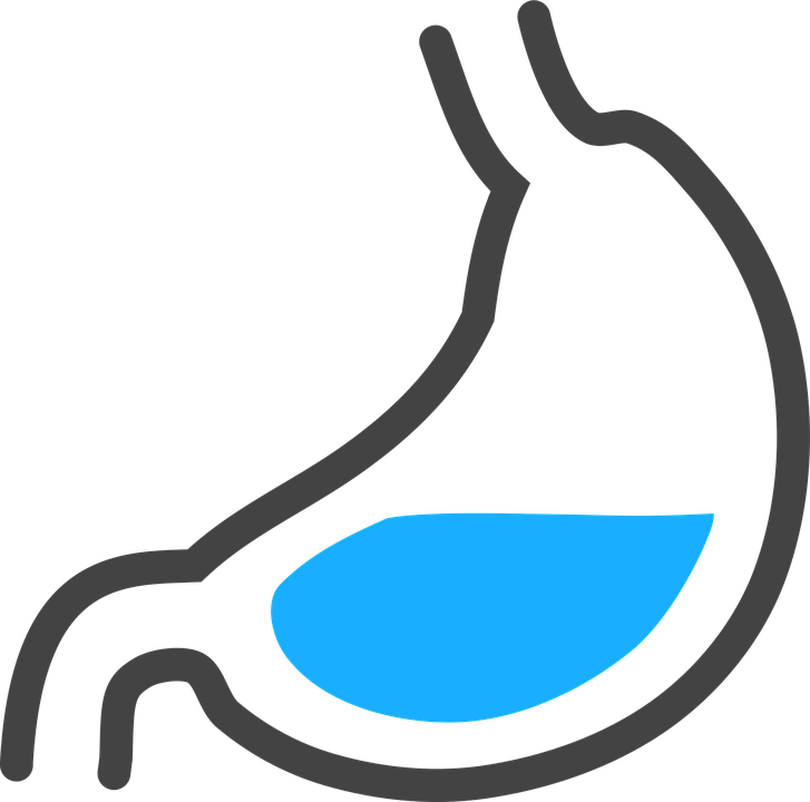 Stomach PNG HD - 128981