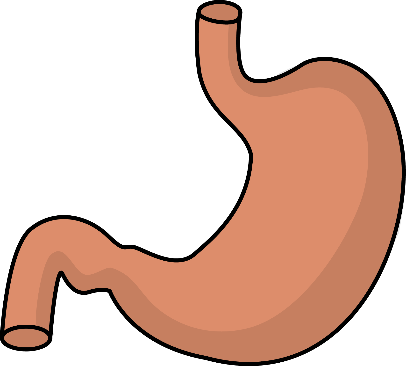 Stomach Clipart.