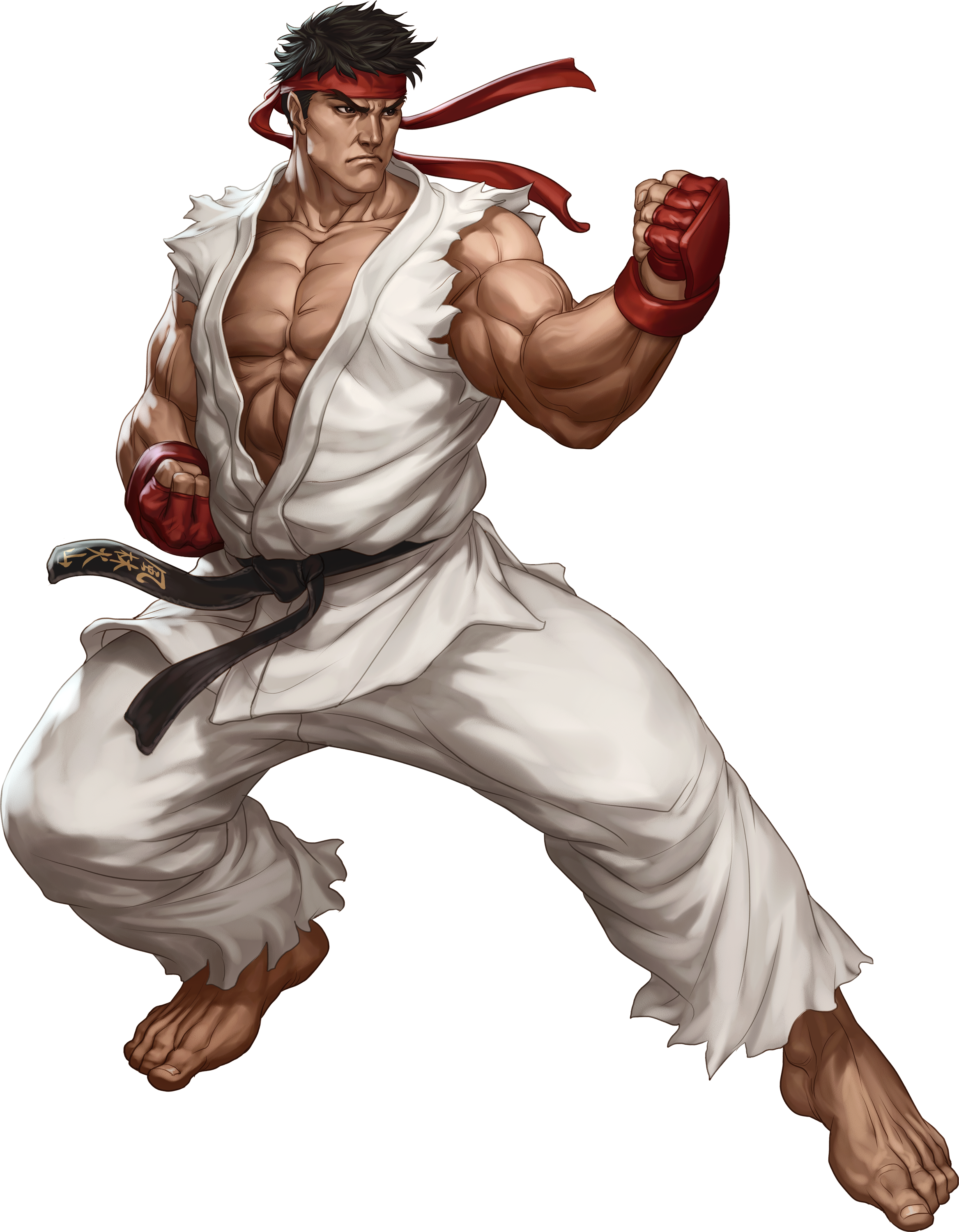 Street Fighter HD PNG - 119817