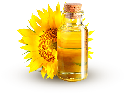 Sunflower Oil HD PNG - 96095