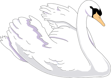 Swan PNG - 17577