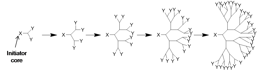 The overall reaction mechanis