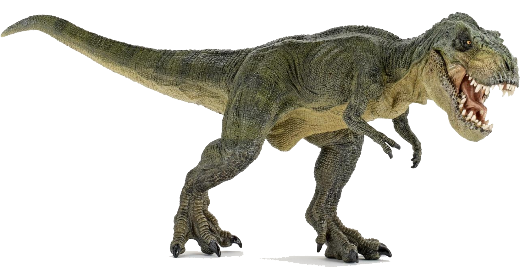 T Rex Dinosaurs PNG-PlusPNG.c