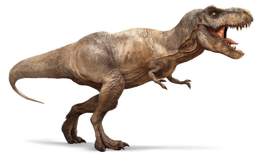File:T-Rex 3.png - T Rex Dino