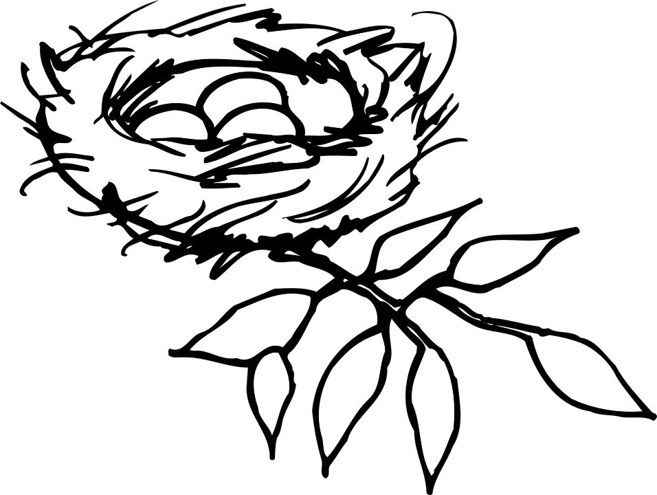 Taking Care Of Plants PNG Black And White - 152528