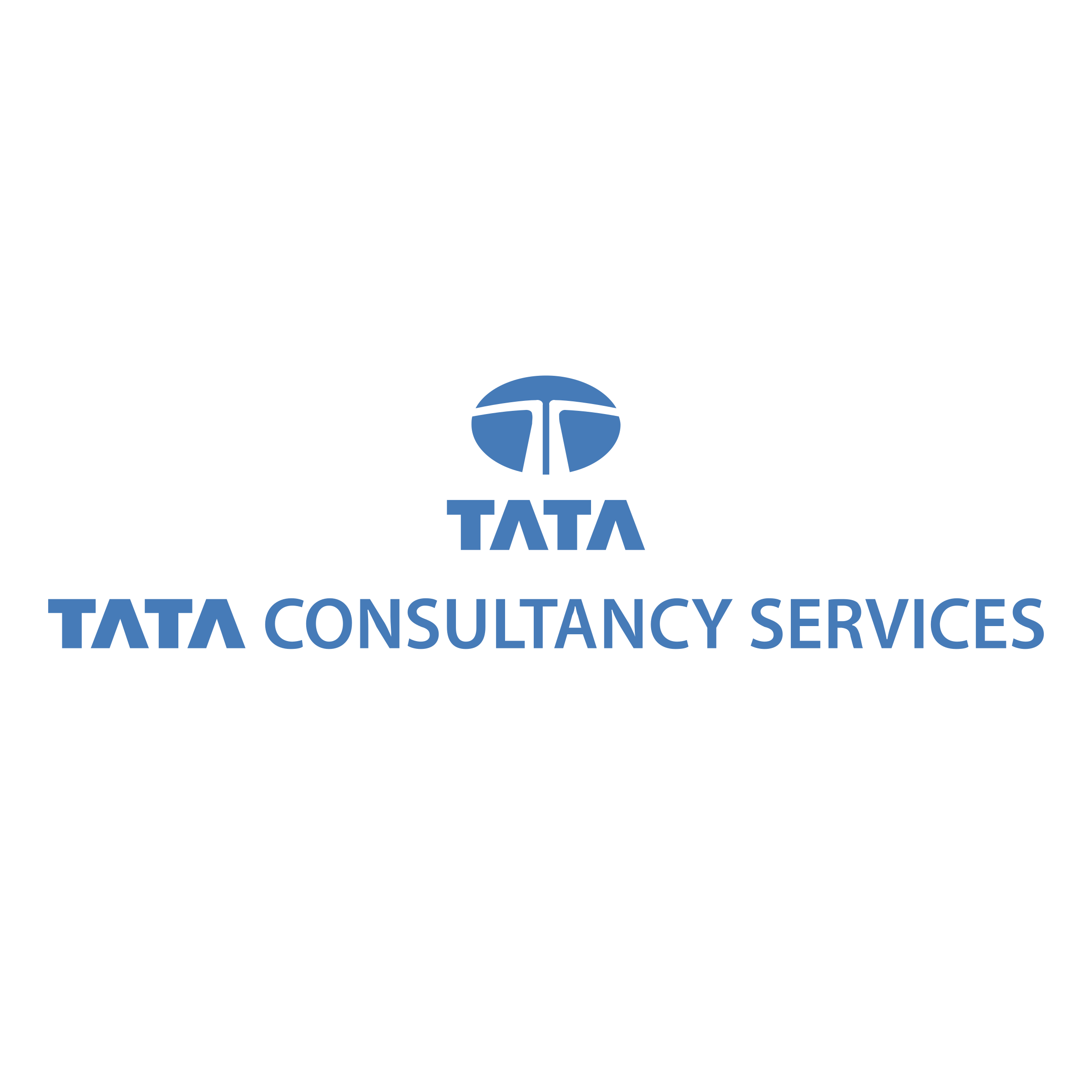 Tata Logo PNG - 177617