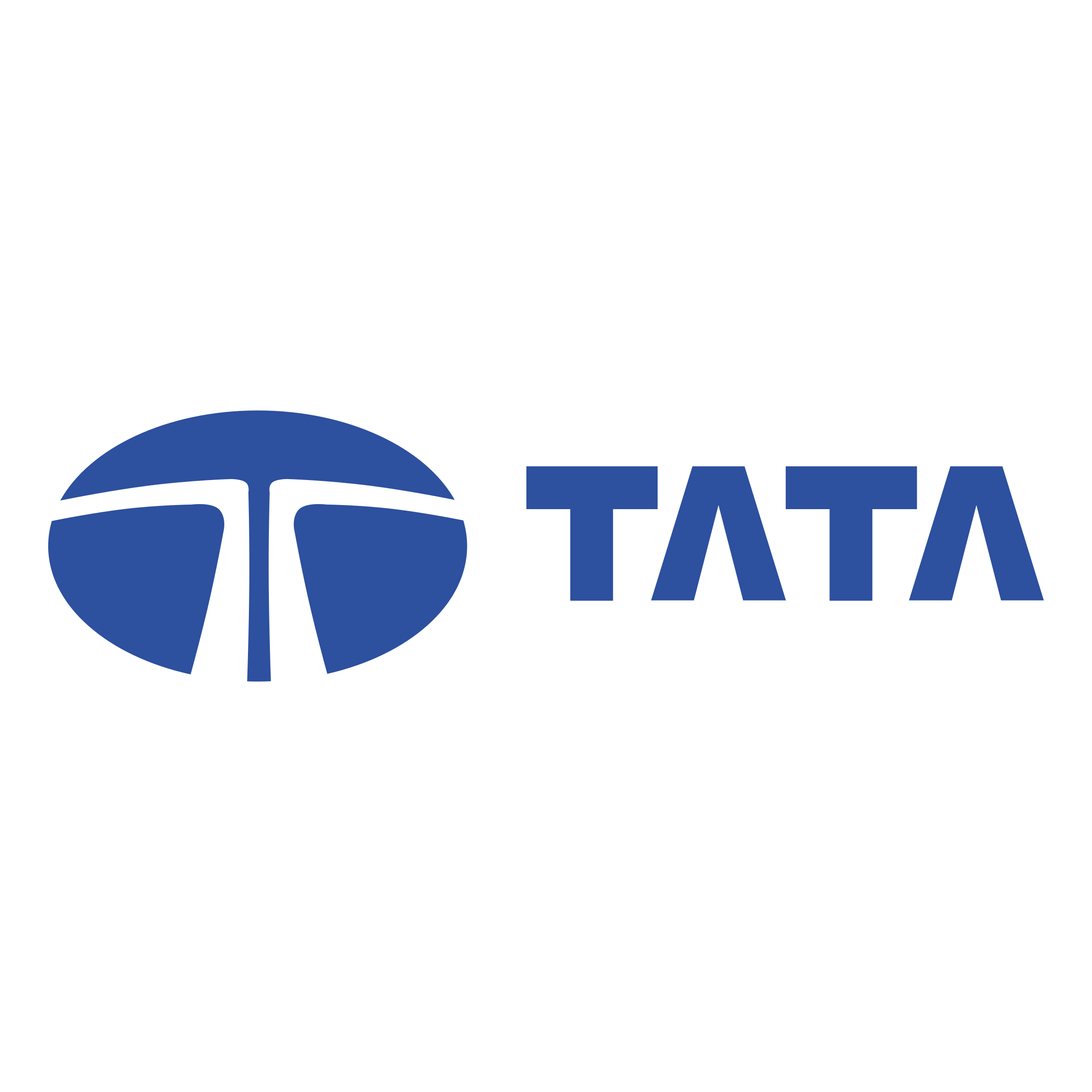 Tata Logo PNG - 177610