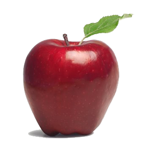 Teacher With Apple PNG - 167844
