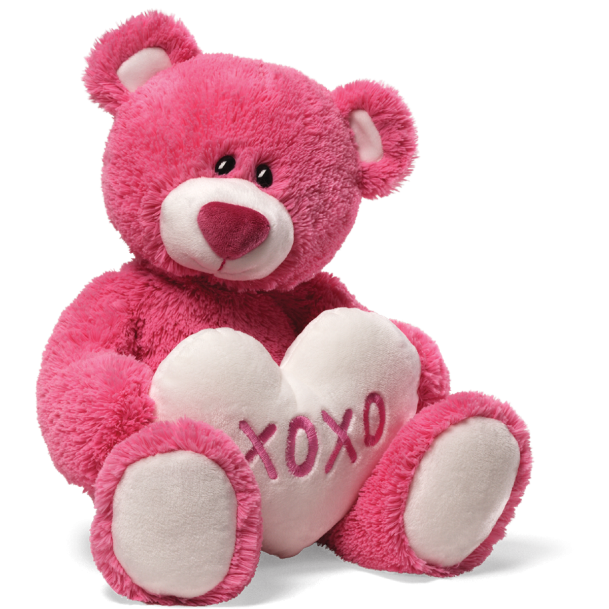 Download Teddy Bear PNG image