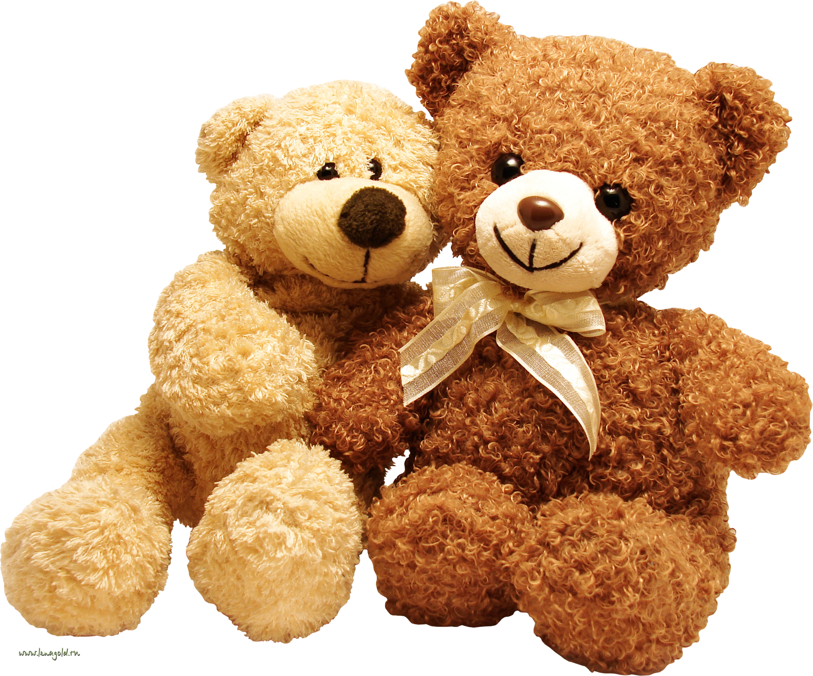 Teddy bear teddy bears, Teddy