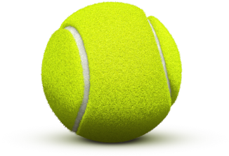Tennis ball PNG image - Tenni