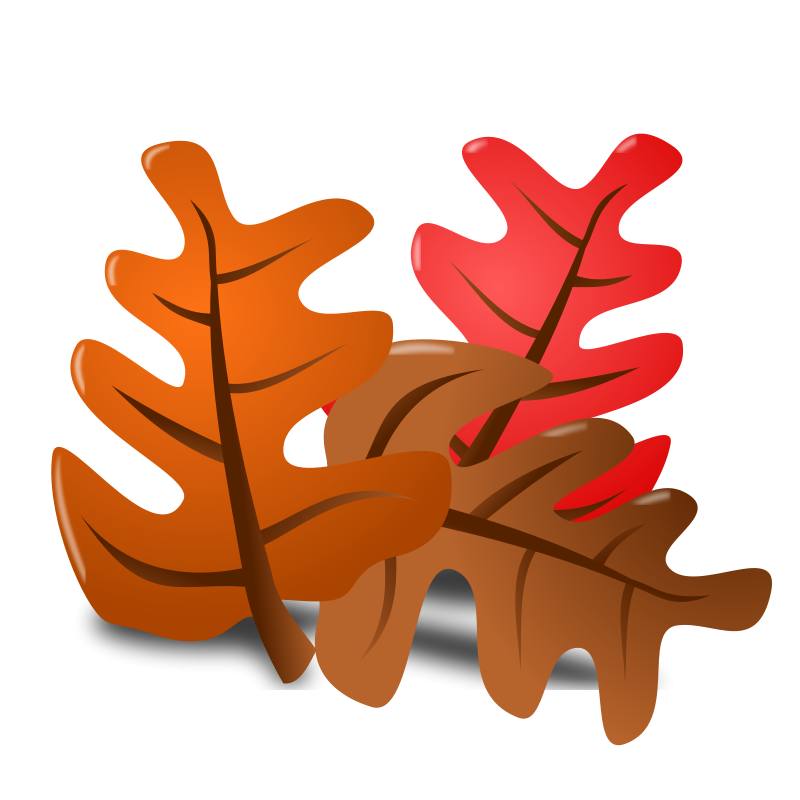 Thanksgiving PNG Picture - PN