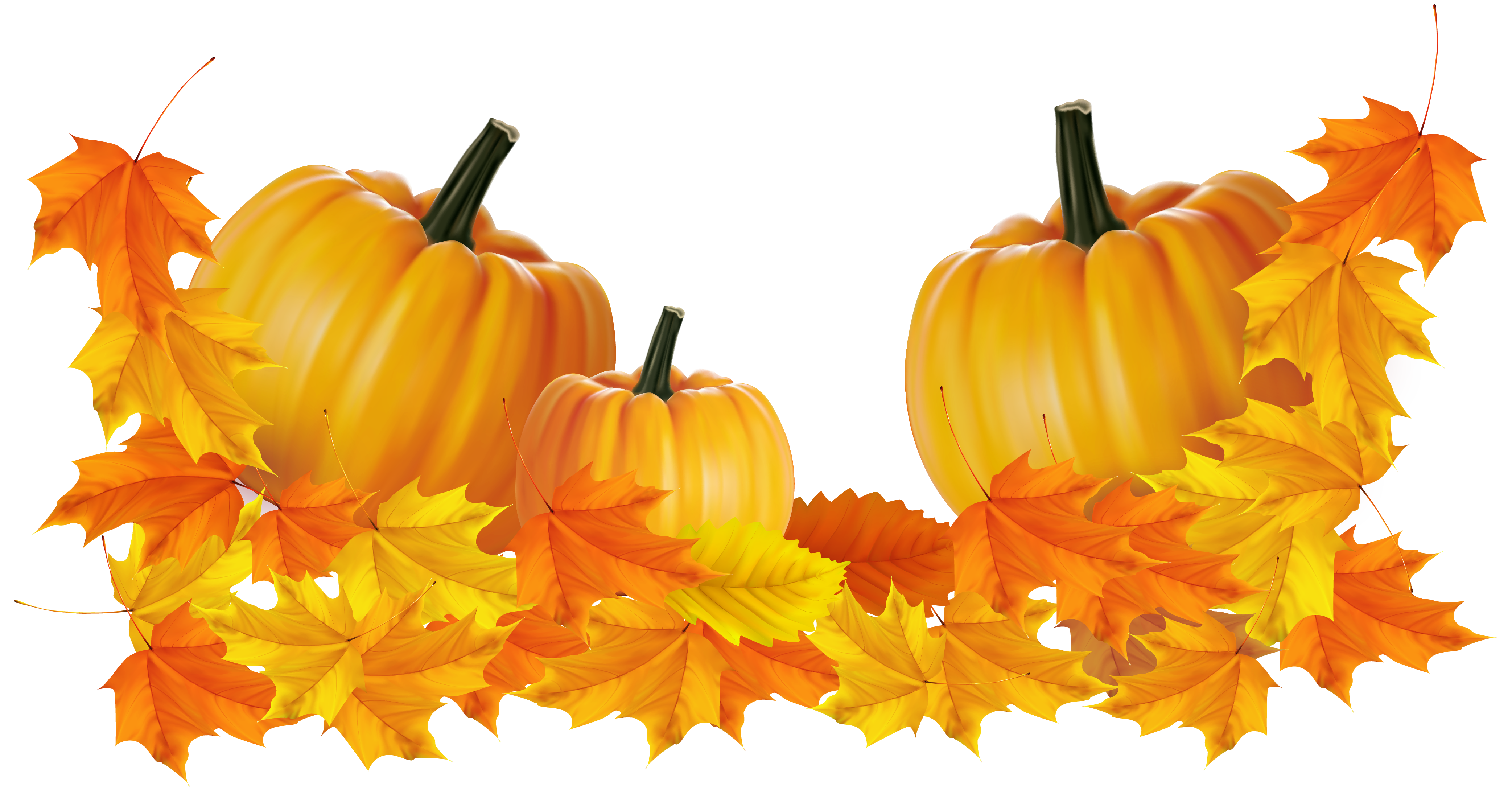 Thanksgiving Pumpkin PNG File