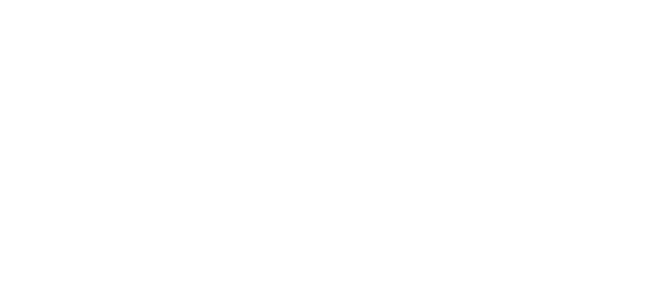 Baltimore Ravens PNG - 4916