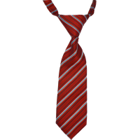 Red tie PNG image - Tie PNG