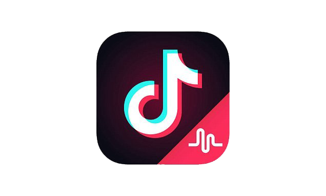 Collection of Tiktok PNG. | PlusPNG