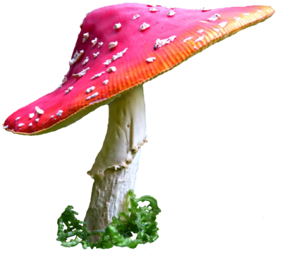 Magical clipart mushroom #4