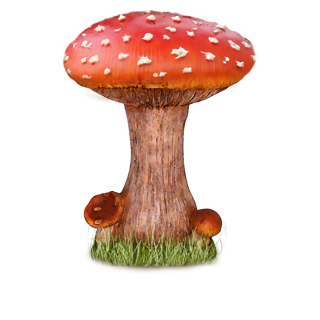 Mushroom clipart white dot #1