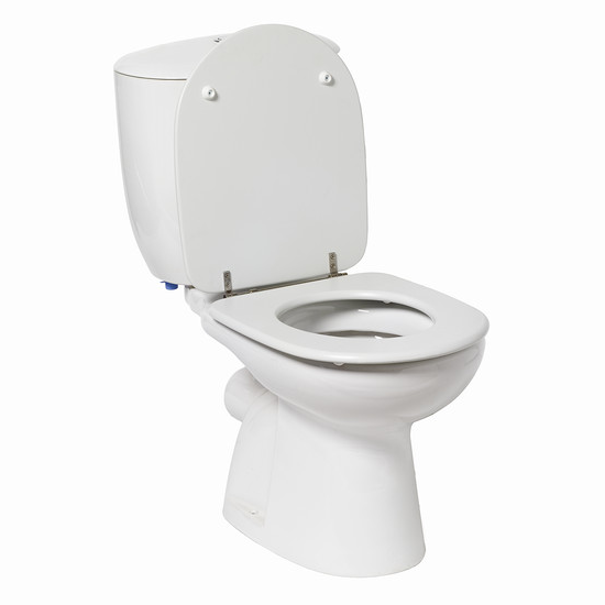 Semi-automatic toilet