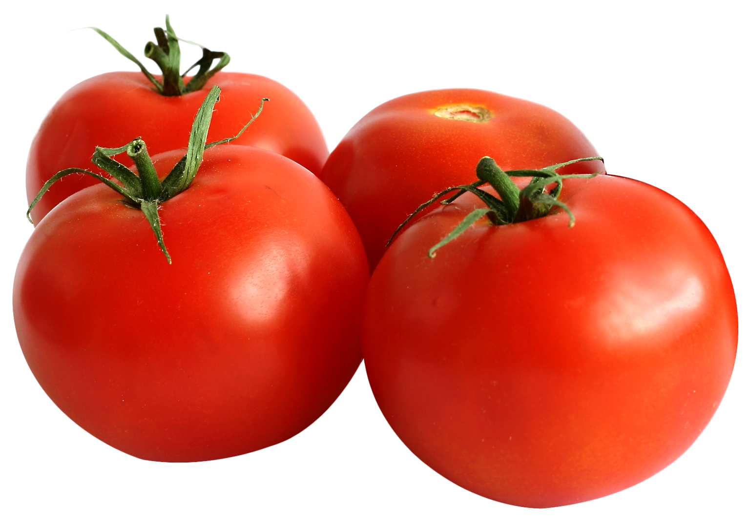 Tomato HD PNG - 90704
