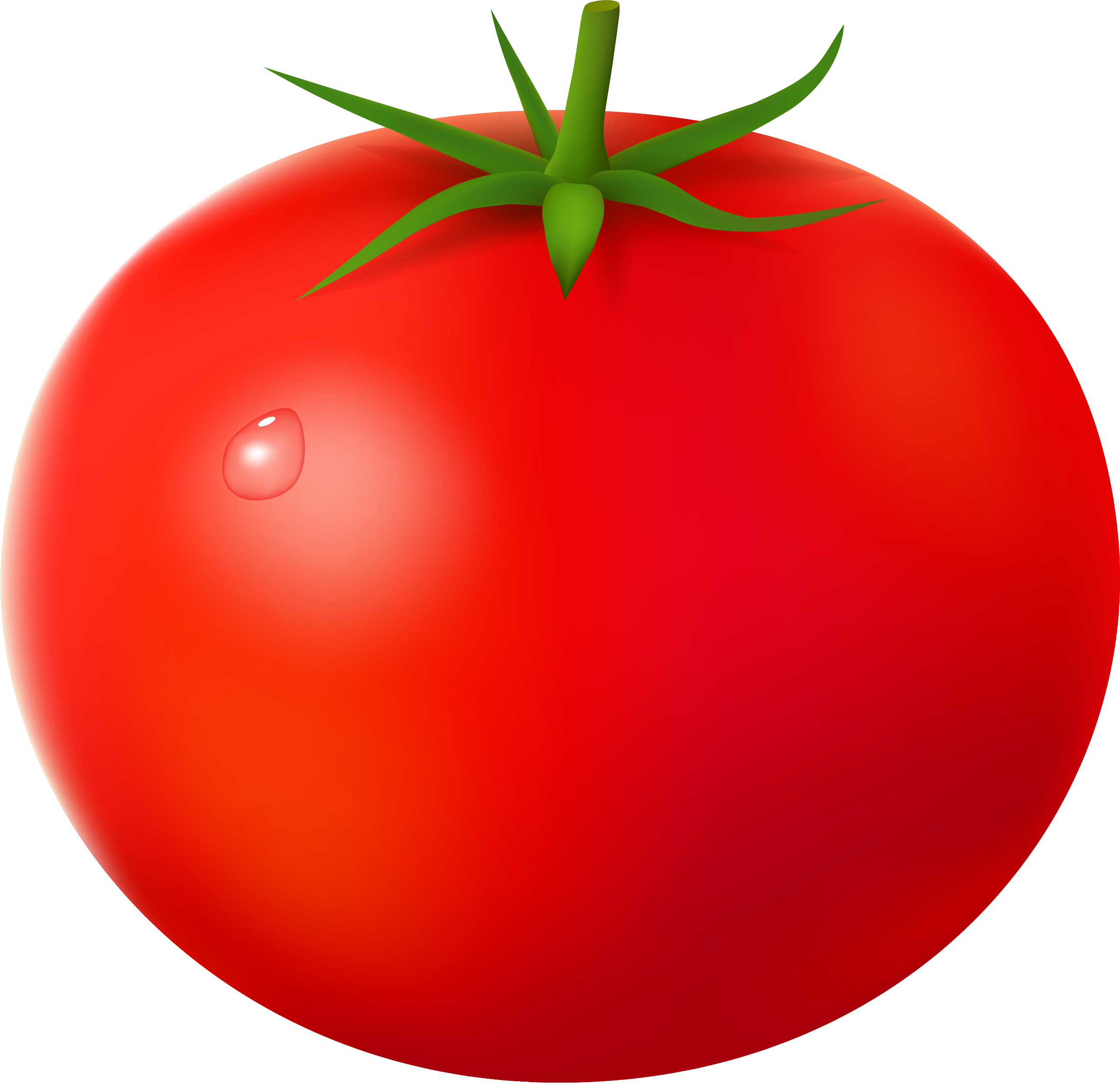 Tomato HD PNG - 90711