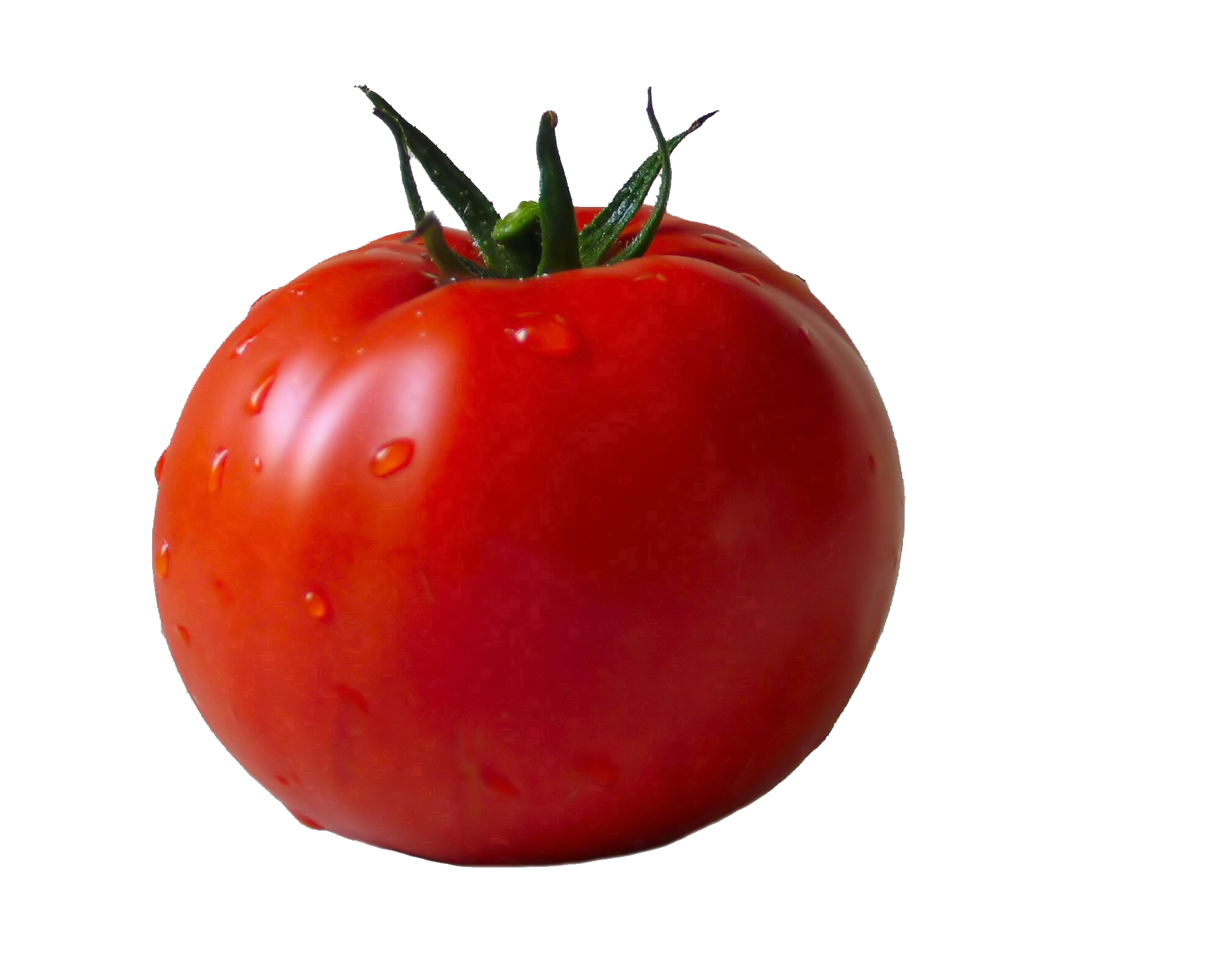 Tomato HD PNG-PlusPNG.com-231