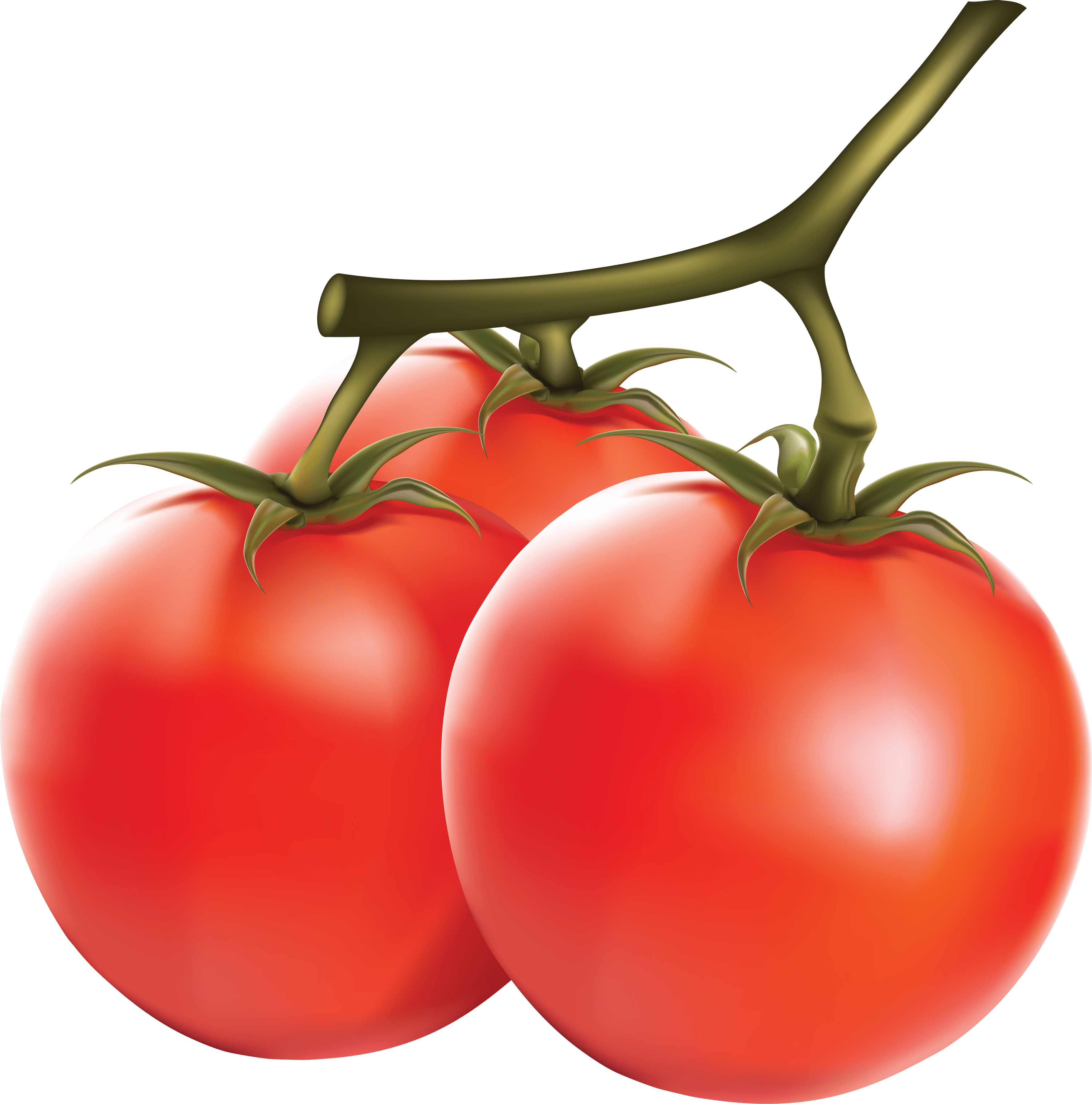 Tomato HD PNG - 90707