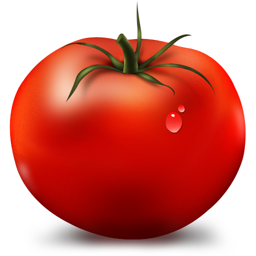 Tomato HD PNG - 90709