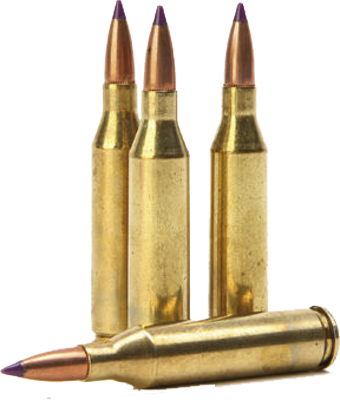 Gun Bullets PNG Transparent I