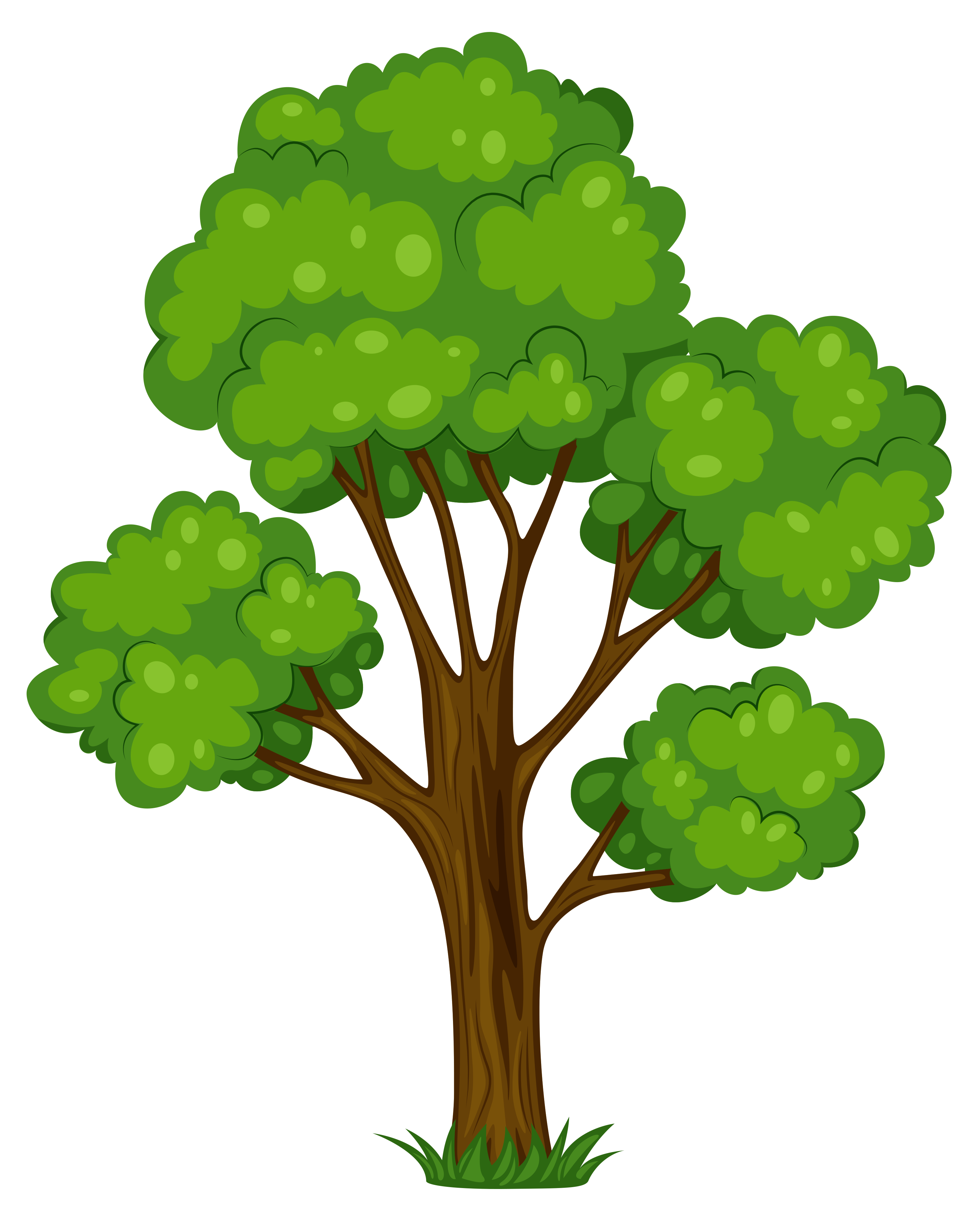 Tree Clipart PNG - 77186