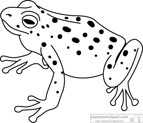 Tree Frog PNG Black And White - 149197