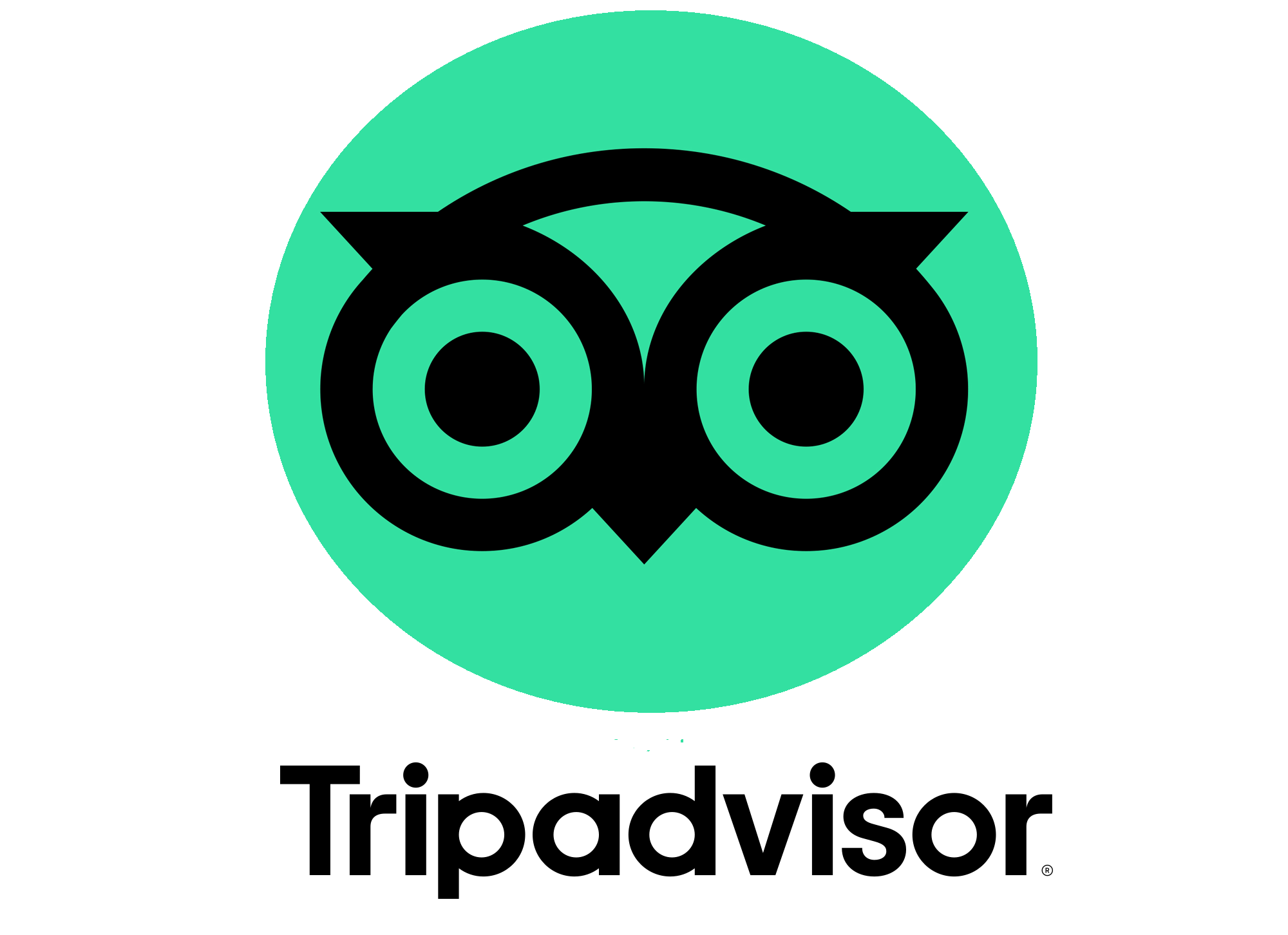 Collection of Tripadvisor Logo PNG. | PlusPNG